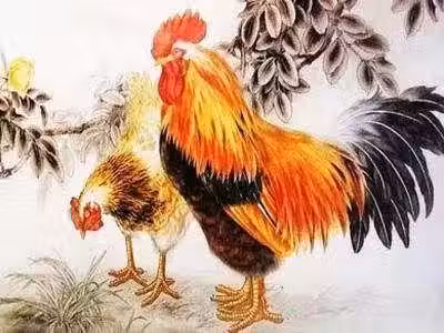 /www/bananadaily.net/web/images/image/2259/22598264.avif