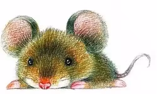 /www/bananadaily.net/web/images/image/2265/22651762.avif